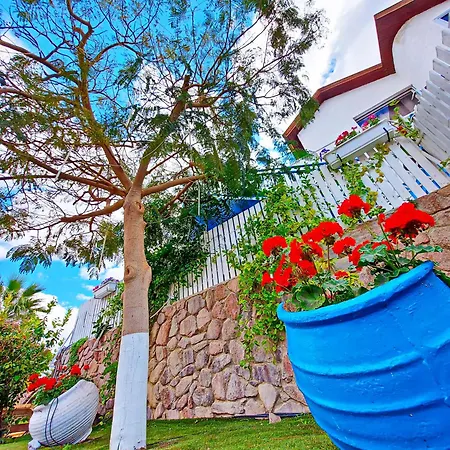 דאוס האוס - דירות אירוח מודרניות ושקטות Eilat Exterior photo
