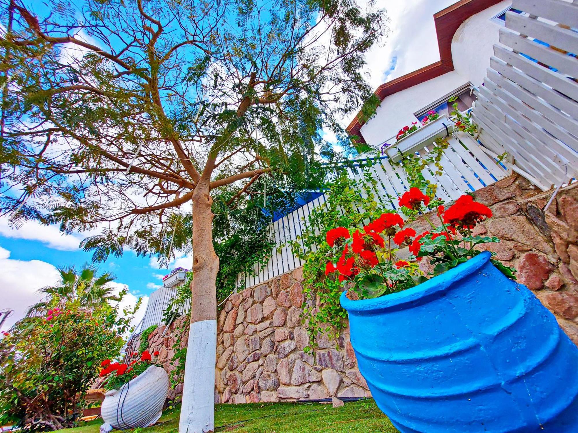 דאוס האוס - אירוח מודרניות ושקטות Apartment Eilat
